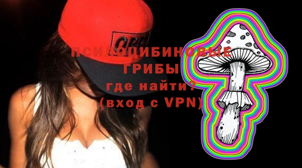 метадон Алексин