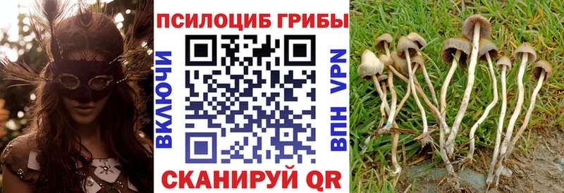 Галлюциногенные грибы MAGIC MUSHROOMS Жирновск